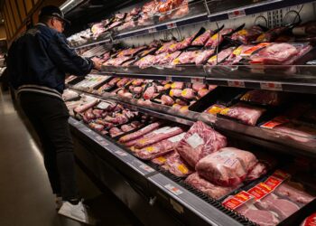 Informe de inflación del IPC junio 2025: