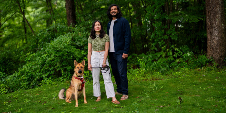 Encontrar una joya en el bosque del centro de Connecticut