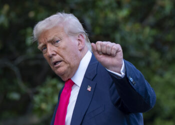 ‘Solo mira lo que sucedió la última vez’: los exportadores estadounidenses temen a Trump Trade War Fallout