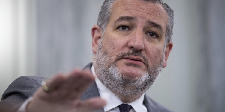 Ted Cruz busca forzar cambios en vuelos militares cerca de los aeropuertos, después de un choque mortal de la aerolínea