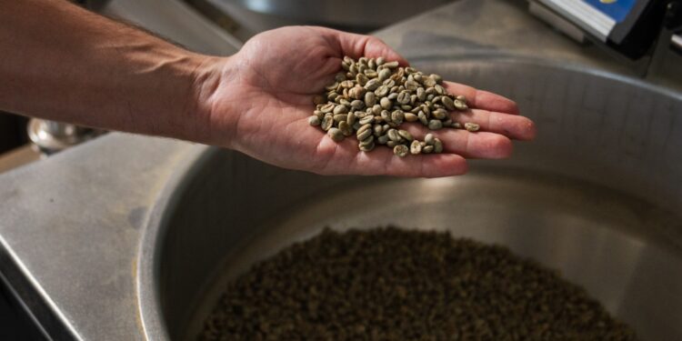 Precios del café para aumentar mientras Brasil enfrenta un 50% de aranceles bajo Trump: NPR