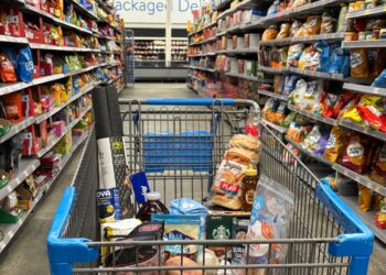 Alabama Food Bank predice un gran salto en la necesidad sobre los recortes planificados de SNAP: NPR