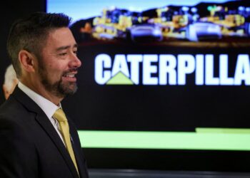 Acciones que realizan los movimientos más grandes del mediodía: Woof, Celh, Afrm, Cat