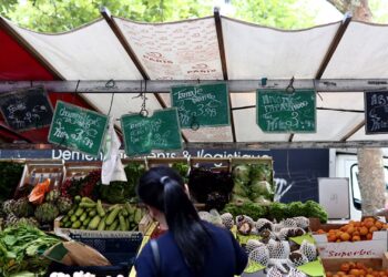 Euro Zone Inflación Julio de 2025