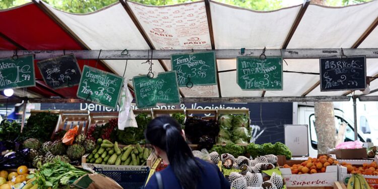 Euro Zone Inflación Julio de 2025