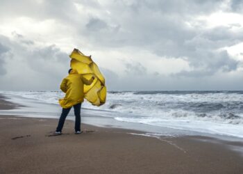 Por qué se ha agriado el mercado laboral de los Estados Unidos