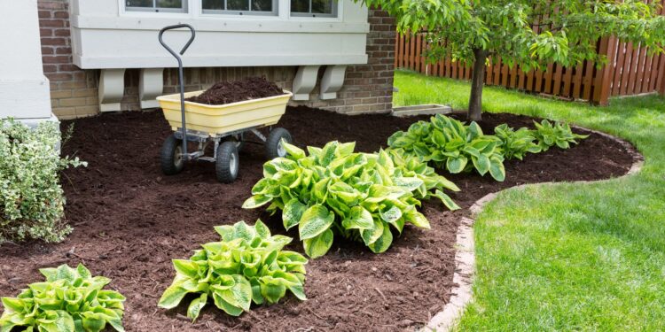 9 formas efectivas de mantener el mantillo en su lugar