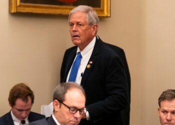 Republicano de Carolina del Sur: los precios altos son ‘para el bien del país’