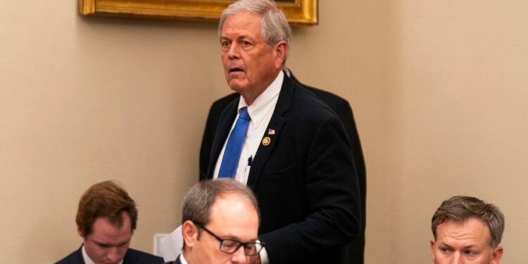 Republicano de Carolina del Sur: los precios altos son ‘para el bien del país’