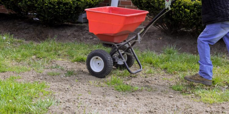 ¿Es la supervisión o la reiniciación mejor para su césped dañado?