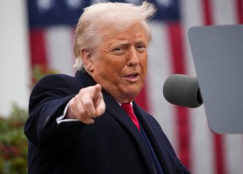 A medida que los aranceles de Trump toman forma, ¿está realmente ganando Estados Unidos? : NPR