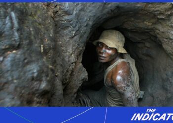 El indicador del dinero del planeta: NPR