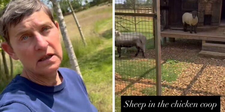 Ellen DeGeneres revela secretos detrás de su ‘Hobby’ ‘muy lucrativo’ $ 190 millones.