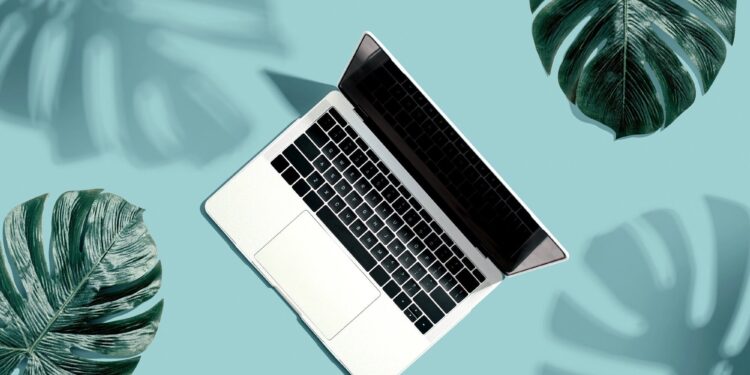 ¿Qué plataforma de impresión a pedido es mejor para usted?