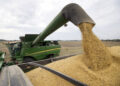 China armiza las importaciones AG para atacar a Trump y a los agricultores estadounidenses