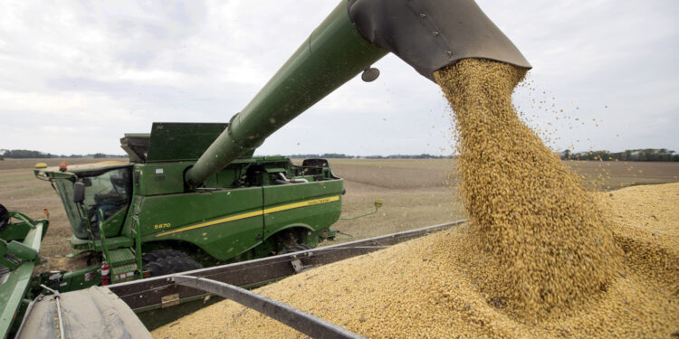China armiza las importaciones AG para atacar a Trump y a los agricultores estadounidenses