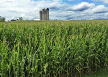 La lealtad de los agricultores a Trump está a punto de ser probada