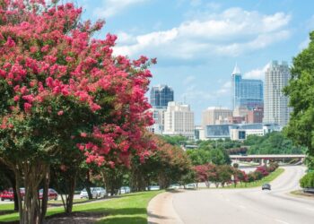 50 nuevos listados en Raleigh, 3 de septiembre de 2025