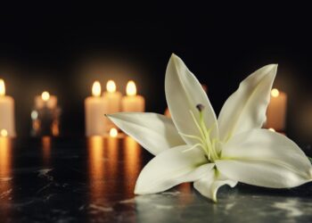 Cuando me voy, me estoy volviendo verde