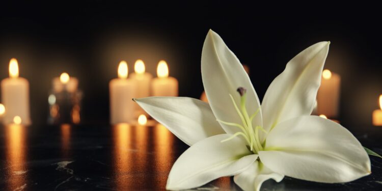 Cuando me voy, me estoy volviendo verde