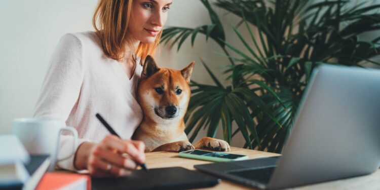 Trabajos en línea legítimos y los mejores lugares para encontrarlos