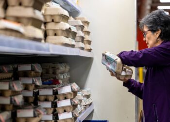 Desglose de la inflación para septiembre de 2025, en un gráfico