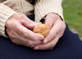 Beneficios del Seguro Social en pocas palabras: todo lo que necesita saber