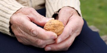 Beneficios del Seguro Social en pocas palabras: todo lo que necesita saber