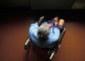Si tuvo un padre abusivo, ¿está obligado a ayudarlo a medida que envejece?