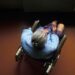 Si tuvo un padre abusivo, ¿está obligado a ayudarlo a medida que envejece?