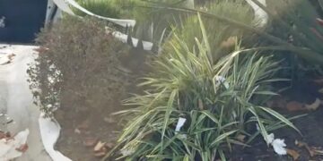 La casa de California de $ 12 millones de la estrella de HGTV Christina Haack está cubierta con papel higiénico en una broma de Halloween