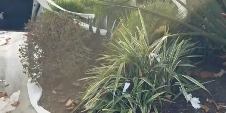 La casa de California de $ 12 millones de la estrella de HGTV Christina Haack está cubierta con papel higiénico en una broma de Halloween