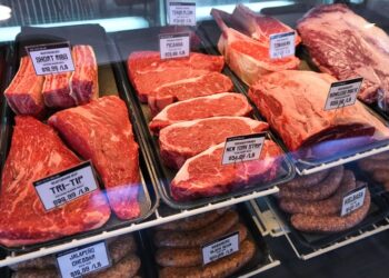 ¿Qué estados exportan más carne vacuna?
