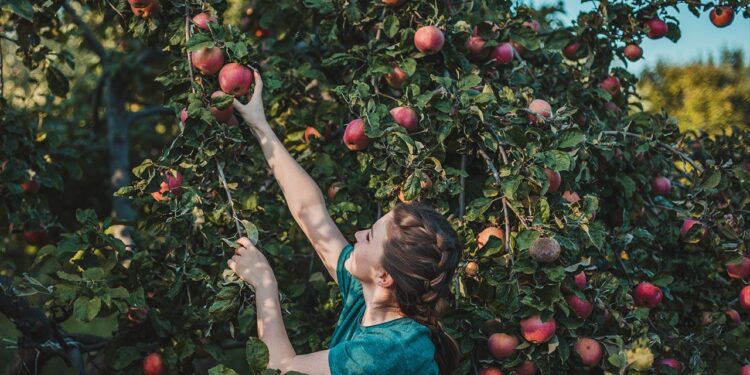 5 aromas de otoño que te ayudarán a vender tu casa