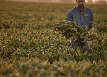 Los agricultores están sufriendo. La guerra comercial de Trump lo está empeorando: NPR