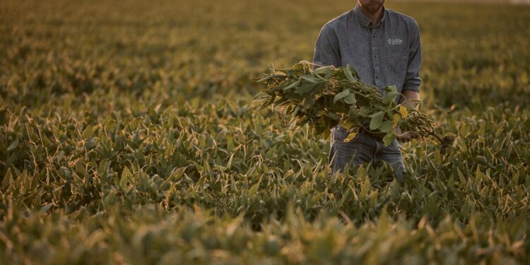 Los agricultores están sufriendo. La guerra comercial de Trump lo está empeorando: NPR