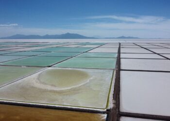 Acciones que hacen grandes movimientos antes de la comercialización: Alphabet, Zymeworks y más