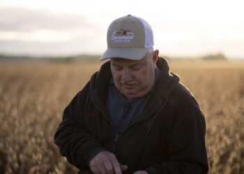 China se está ahogando en soja. Los agricultores estadounidenses se ahogan en la frustración