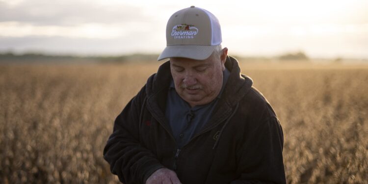 China se está ahogando en soja. Los agricultores estadounidenses se ahogan en la frustración