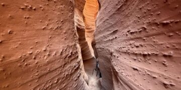 Por qué intercambiamos nuestros sueños para escapar de nuestras pesadillas