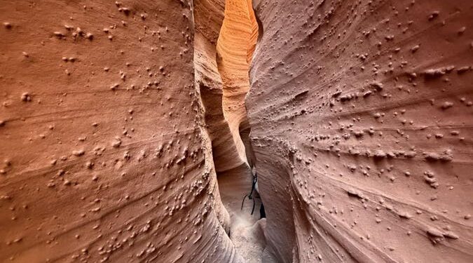 Por qué intercambiamos nuestros sueños para escapar de nuestras pesadillas