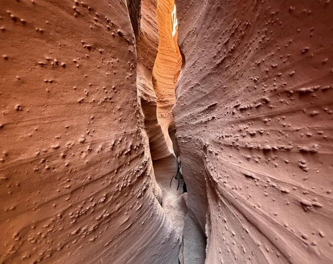 Por qué intercambiamos nuestros sueños para escapar de nuestras pesadillas