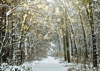 Por qué la gratitud y la alegría son importantes en la época de dar (y en todas las épocas)