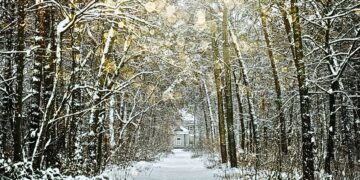 Por qué la gratitud y la alegría son importantes en la época de dar (y en todas las épocas)