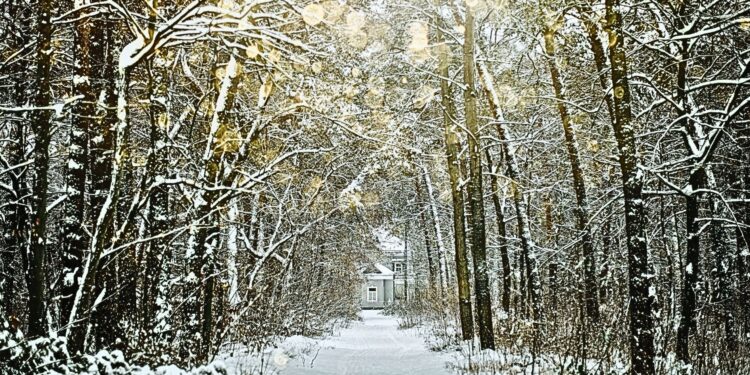 Por qué la gratitud y la alegría son importantes en la época de dar (y en todas las épocas)