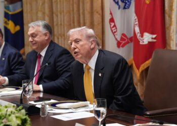 Trump critica la “estafa” de asequibilidad de los demócratas