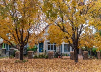 El 53% de las viviendas de EE. UU. perdieron valor este año: 27 lugares donde es peor