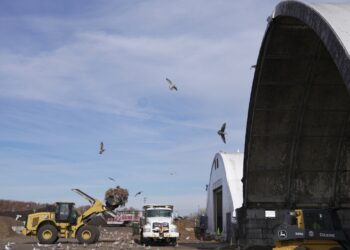 A Estados Unidos le encanta comer. Pero un tercio de su comida todavía va a la basura: NPR