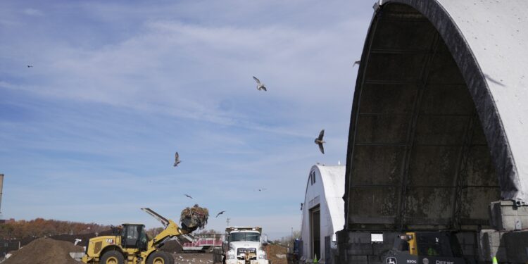 A Estados Unidos le encanta comer. Pero un tercio de su comida todavía va a la basura: NPR