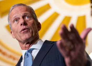 Lo que dicen los expertos en políticas de salud